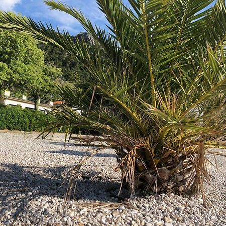 Villa Sabine Apartment Losinj 密德维亚 外观 照片