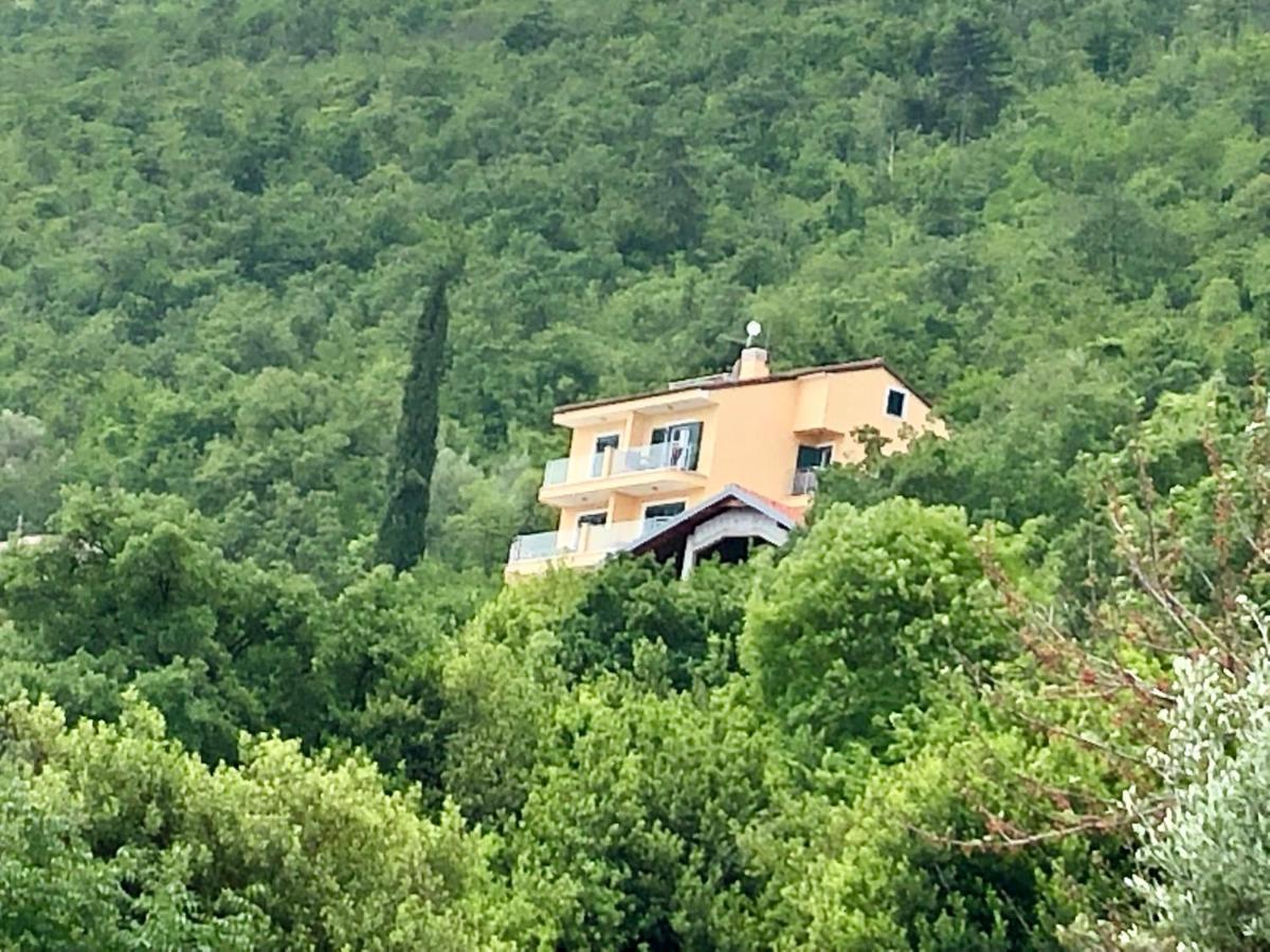 Villa Sabine Apartment Losinj 密德维亚 外观 照片
